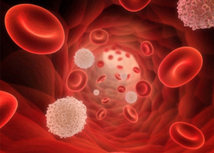 سلول های سرطان در گردش خون