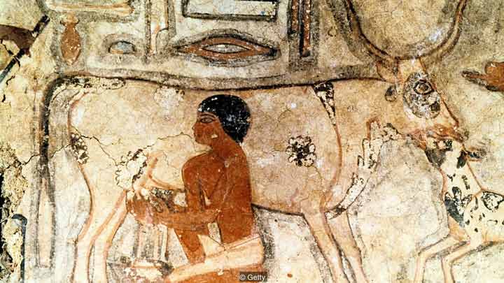 نقاشی بر روی آرامگاه متهتی در مصر 