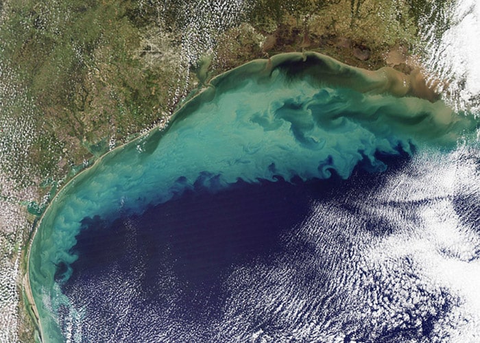 رسوبات در خلیج مکزیک
