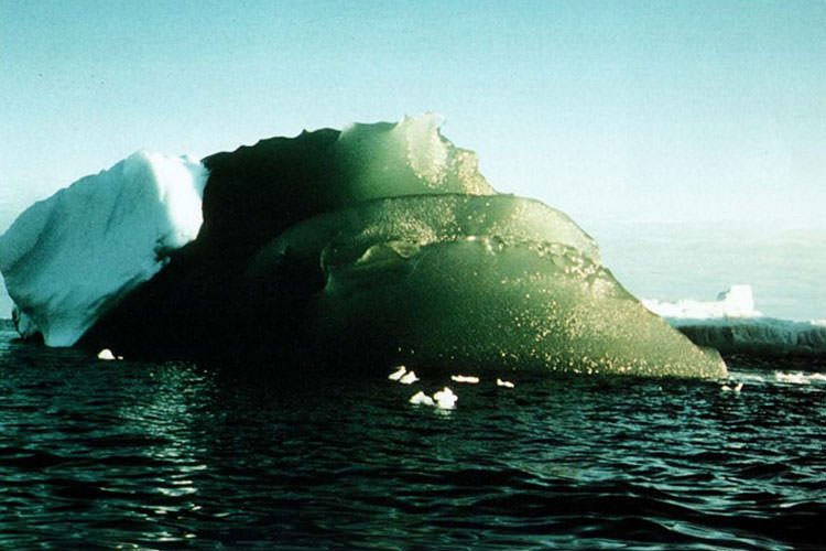 معمای کوه‌های یخی سبزرنگ قطب جنوب شاید به‌زودی حل شود - زومیت