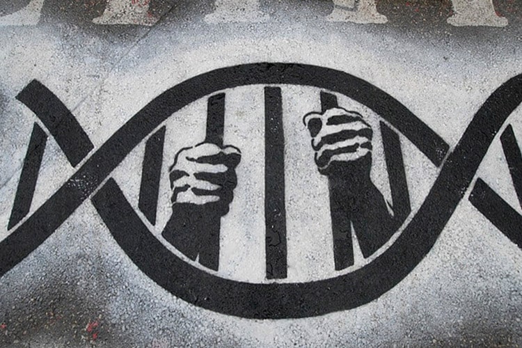 آیا آزمایش DNA می‌تواند جرم دوقلوهای همسان را ثابت کند؟