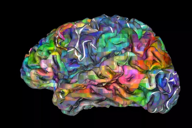 دانشمندان علوم اعصاب موفق شدند تصمیمات افراد را پیش‌بینی کنند