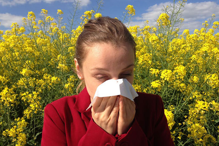 شروع زودهنگام بهار منجر به تشدید آلرژی می‌شود