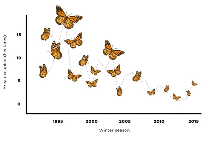 کاهش پروانه ها
