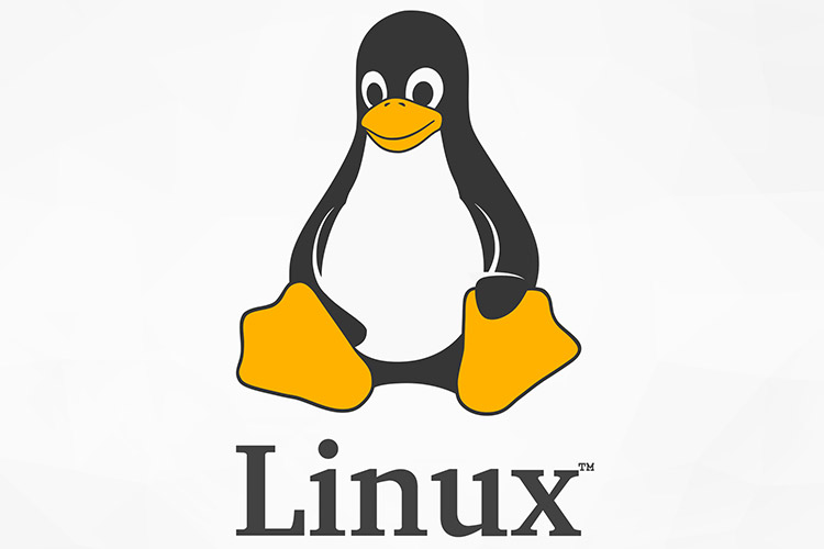 هسته لینوکس 5.16 اکنون با عملکرد بهبودیافته و تغییرات دیگر دردسترس است