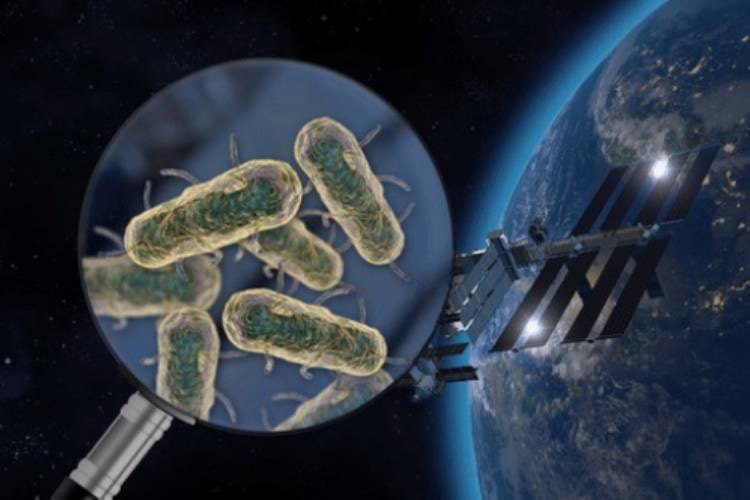 ایستگاه فضایی بین المللی مخزنی از میکروب‌ است