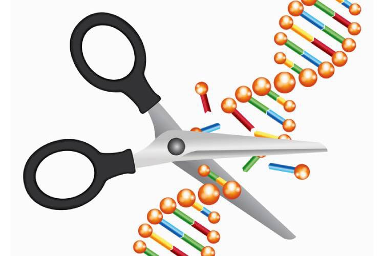 معرفی تکنیک جدید برش DNA که فراتر از تکنیک کریسپر معمولی است