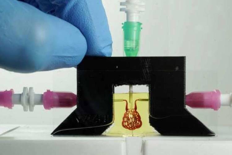 پیشرفتی تازه درزمینه چاپ زیستی اعضای بدن 