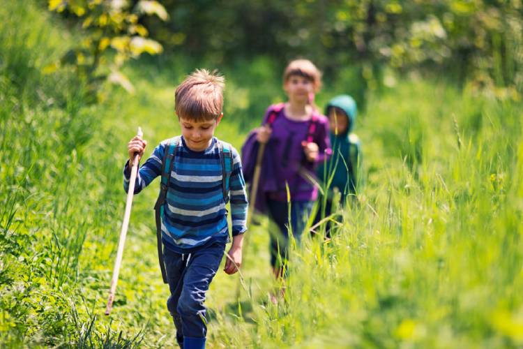 تأثیر مثبت ارتباط با طبیعت در دوران کودکی با سلامتی در دوران بزرگ‌سالی