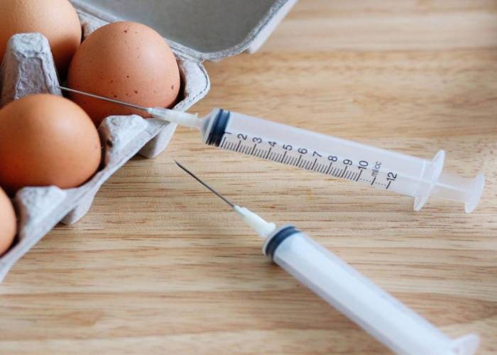 استفاده از تخم مرغ در واکسن