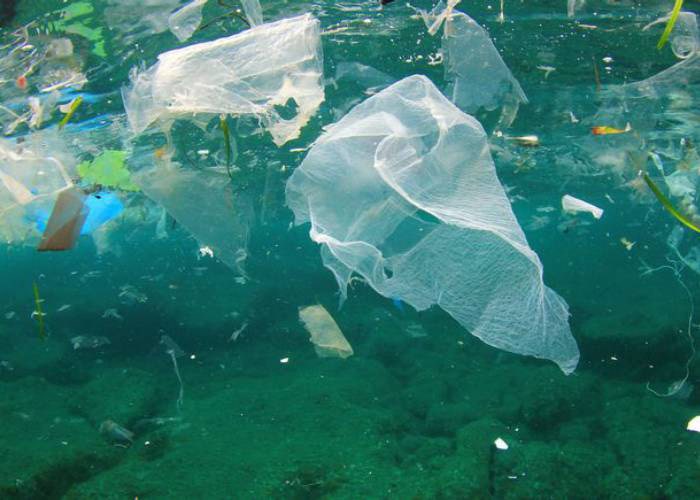 آلودگی پلاستیکی اقیانوس