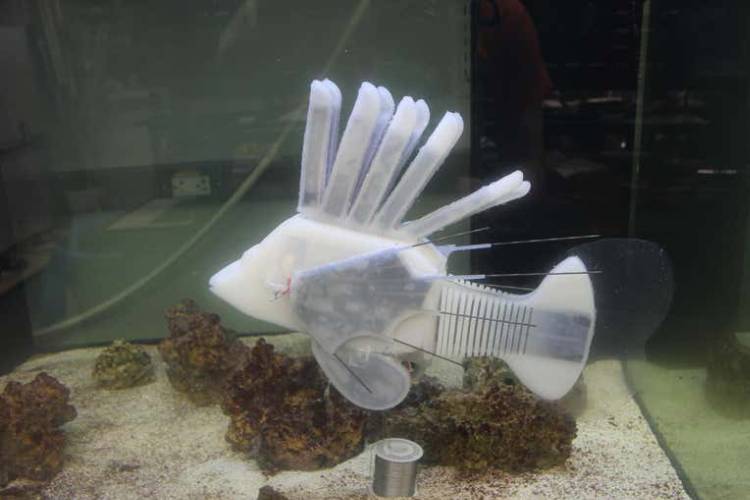 ماهی رباتیکی که از باتری مایع انرژی می‌گیرد