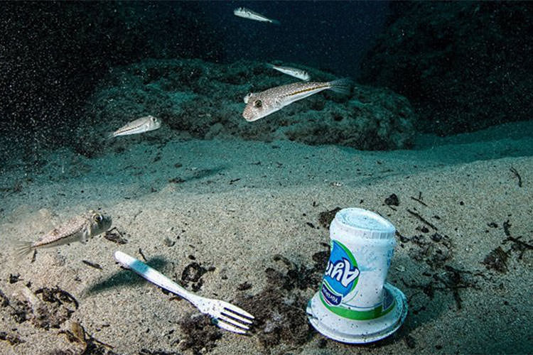 وسعت آلودگی پلاستیکی اعماق اقیانوس‌ها فراتر از تصور است