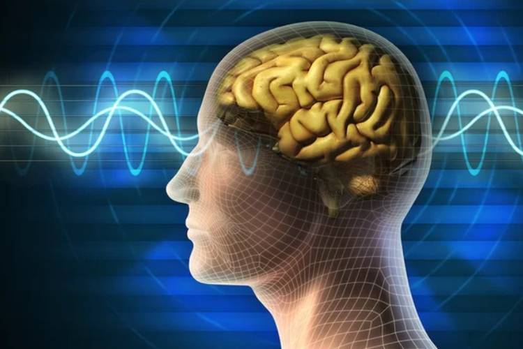 بازیابی حافظه با استفاده از تحریک الکتریکی مغز