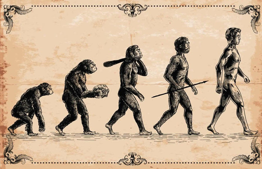 تکامل / evolution