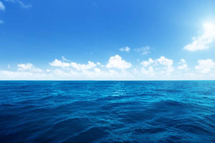 باروری اقیانوس‌ها می‌تواند گرمایش زمین را کاهش دهد؟