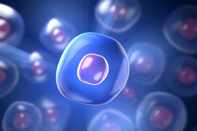 موفقیت تازه دانشمندان درزمینه‌ی ساخت سلول‌های مصنوعی