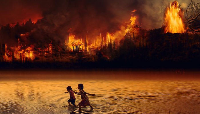 آتش سوزی آمازون / Amazon rain forest fire