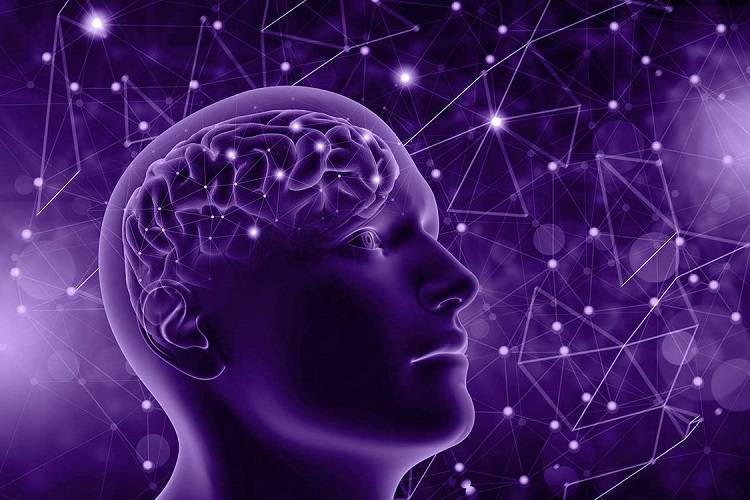 تئوری جدیدی درمورد علت بیماری آلزایمر