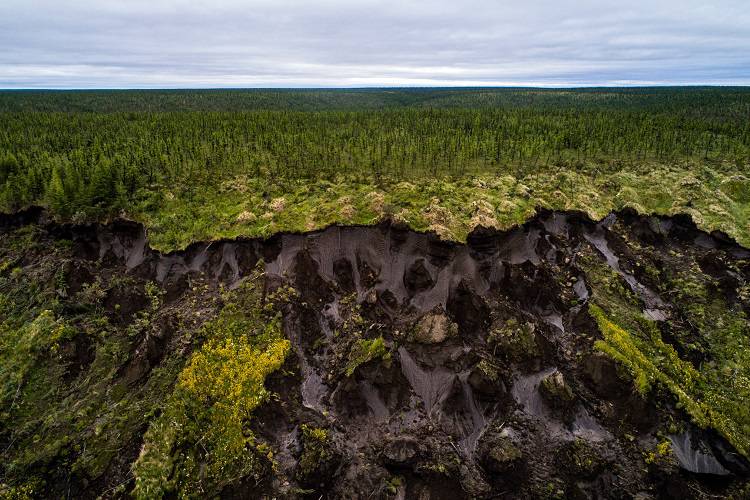 ذوب لایه منجمد خاک و آشکار شدن ماموت‌ها در روسیه