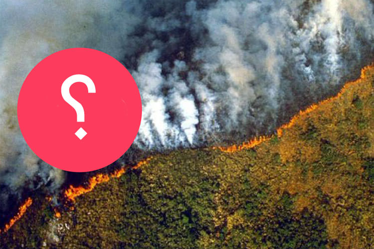 چرا بیشتر اخبار مربوط به آتش سوزی جنگلهای آمازون منطبق با واقعیت نیست؟