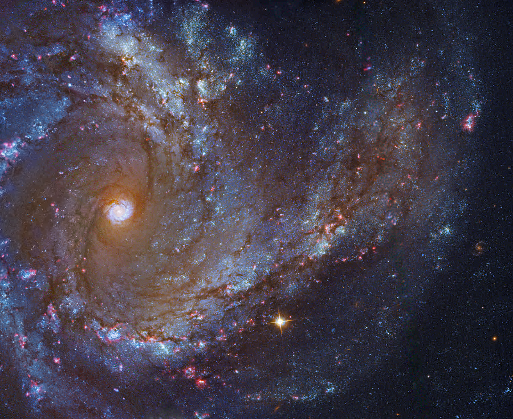 نگاه نزدیک به کهکشان مسیه ۶۱