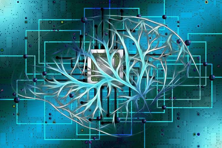 طراحی دستگاهی که مانند مغز انسان خاطرات را فراموش میکند