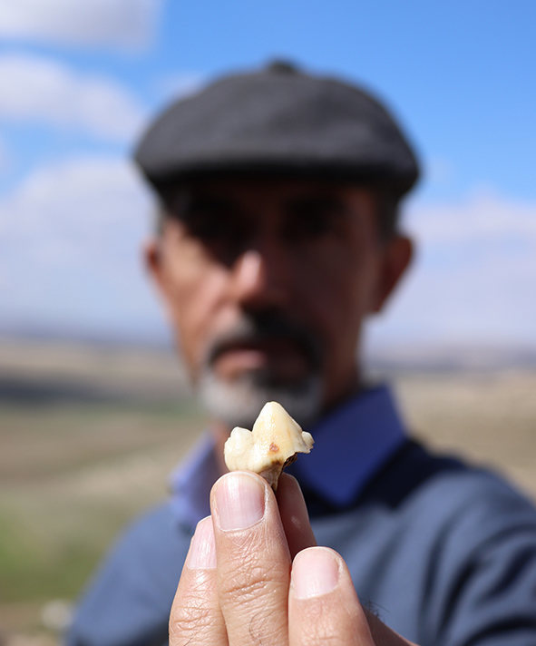دکتر فریدون بیگلری به همراه دندان نئاندرتال غار وزمه: (عکس از مهران بیگلری)