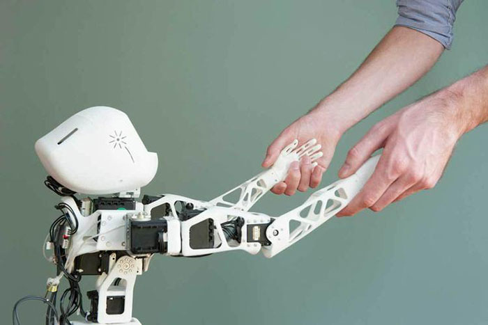 ربات چاپ سه بعدی