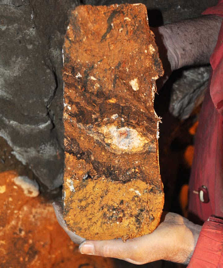 قطعه‌ای از خاک نمونه‌برداری شده از غار دنیسووا