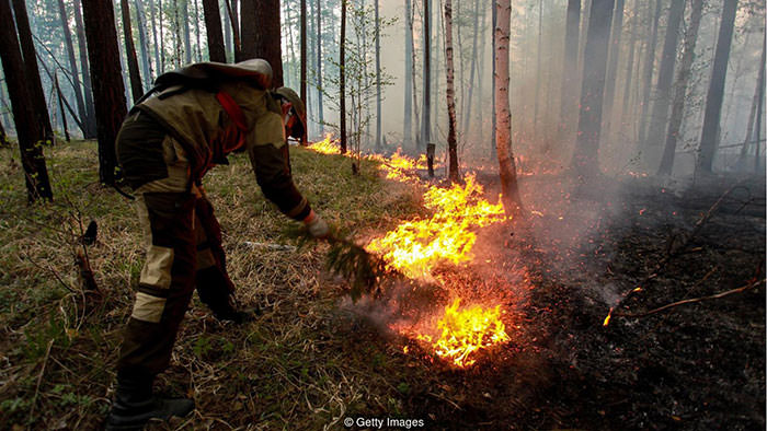 آتش سوزی جنگلهای شمالی