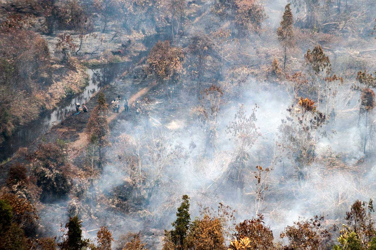 آتش‌سوزی که در چندین منطقه نخل روغنی در جنوب جزیره بورنئو رخ داده را می‌توانید به خوبی در این عکس هوایی مشاهده کنید
