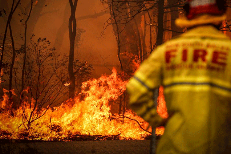 جمع‌آوری کمک ۳۰ میلیون دلاری در فیسبوک برای مهار آتش‌سوزی‌های استرالیا