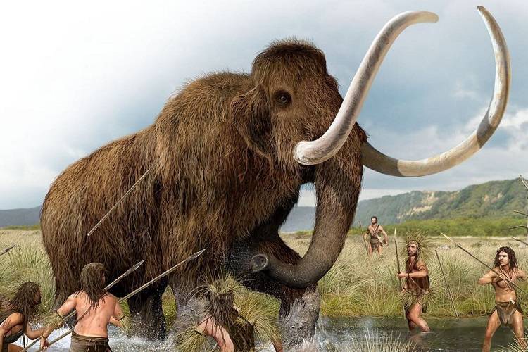 دلیل ابداع تمدن به‌وسیله انسان انقراض پستانداران عصر یخبندان بوده است؟