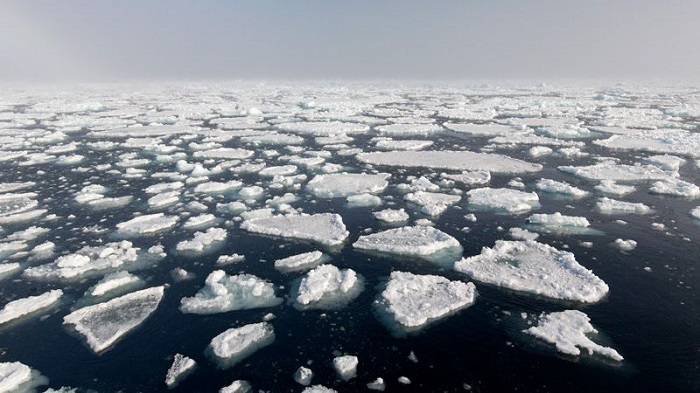 ذوب یخ های شمالگان