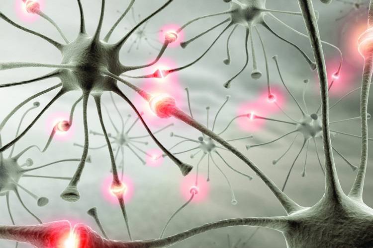 کشف نوع جدیدی از سیگنال در مغز