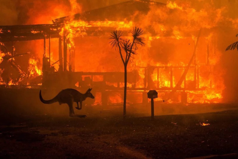ادامه آتش‌سوزی جنگل‌ها در استرالیا