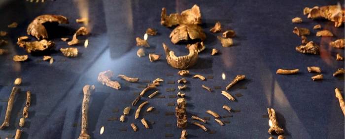 استخوان انسان های باستانی