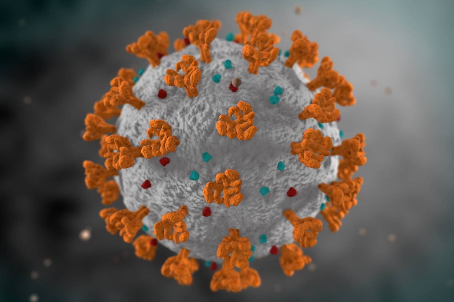 کشف خصوصیتی که موجب واگیری شدید ویروس کرونا می‌شود