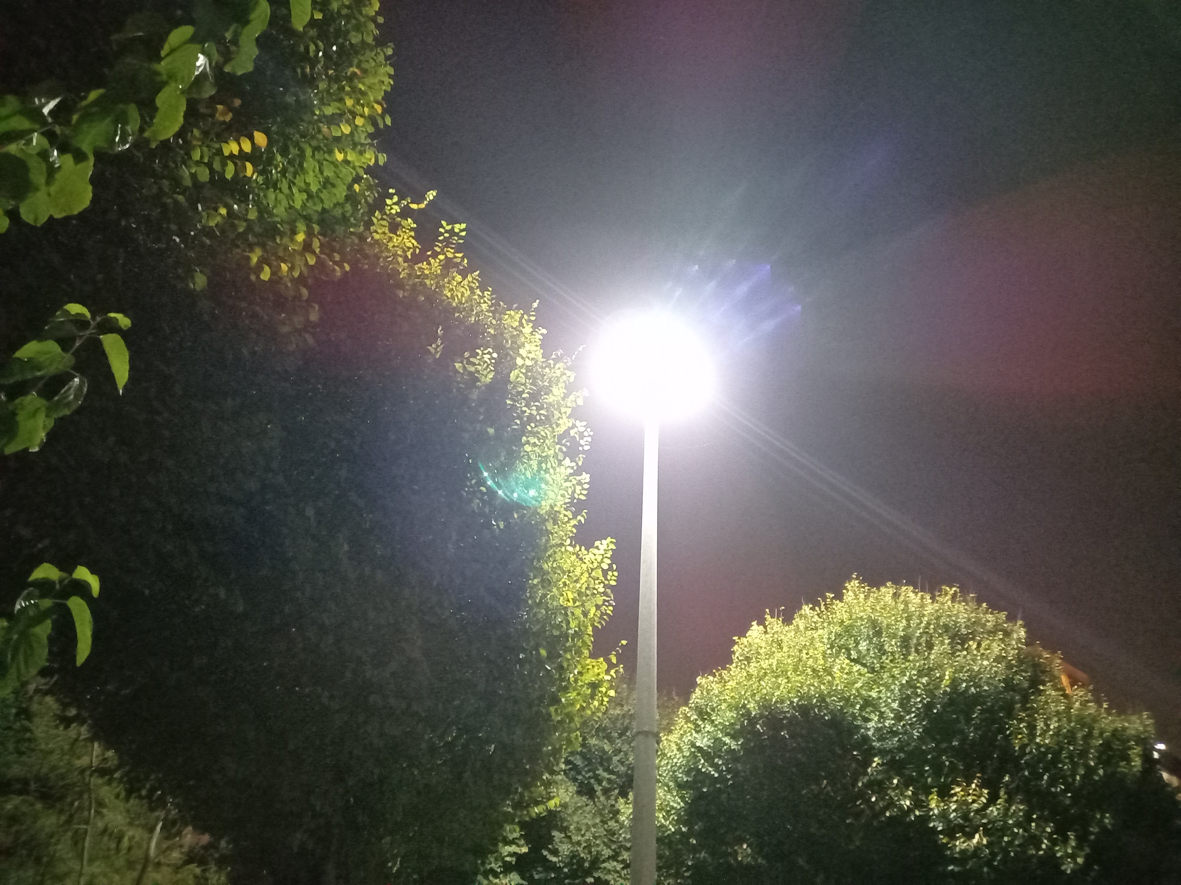 نمونه عکس دوربین واید گلکسی A31 در تاریکی - چراغی در پارک ساحل شاهین شمالی