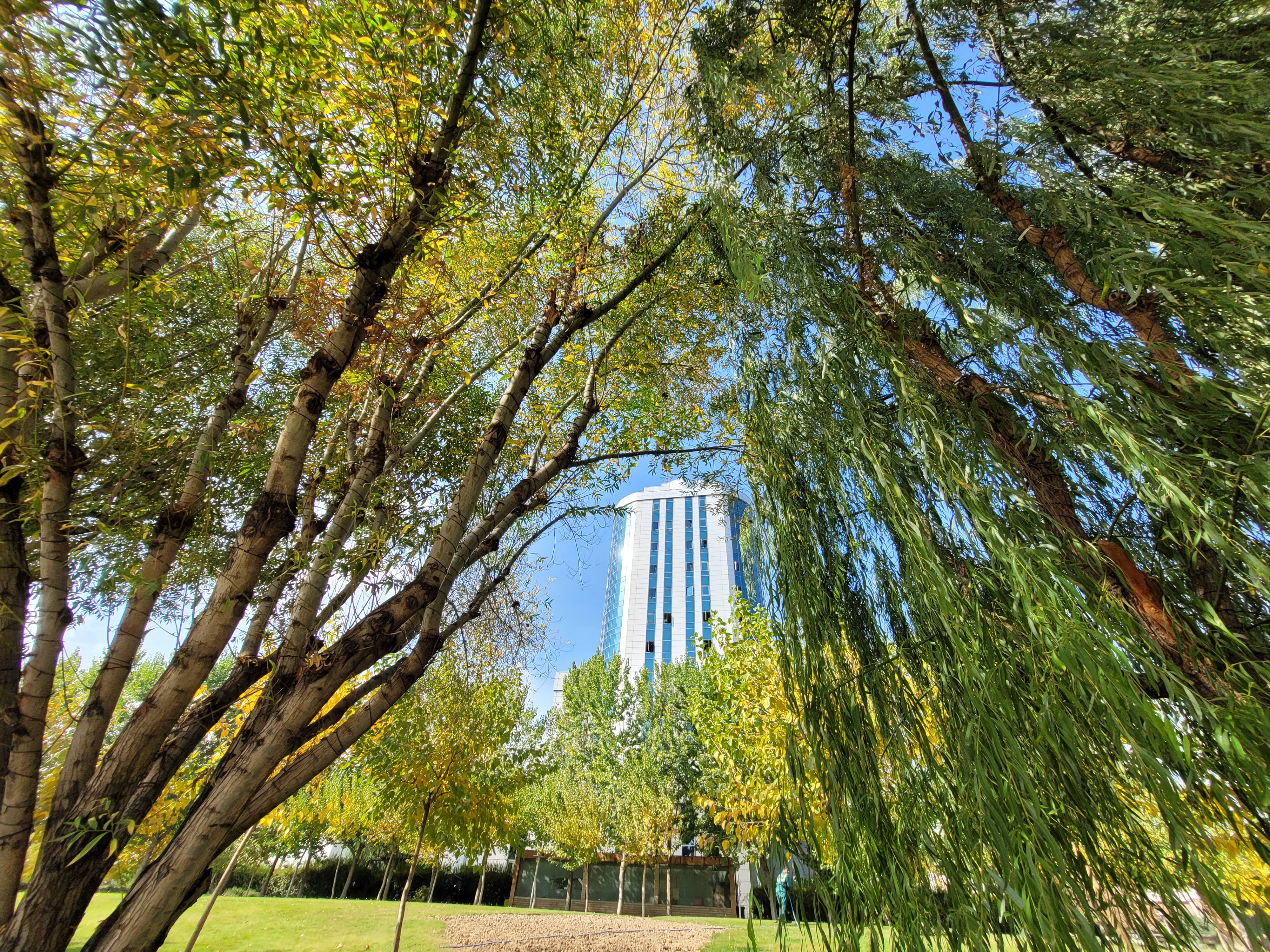 نمونه عکس دوربین اولتراواید گلکسی زد فولد ۲ - ساختمانی در میان درختان پارک آب و آتش تهران