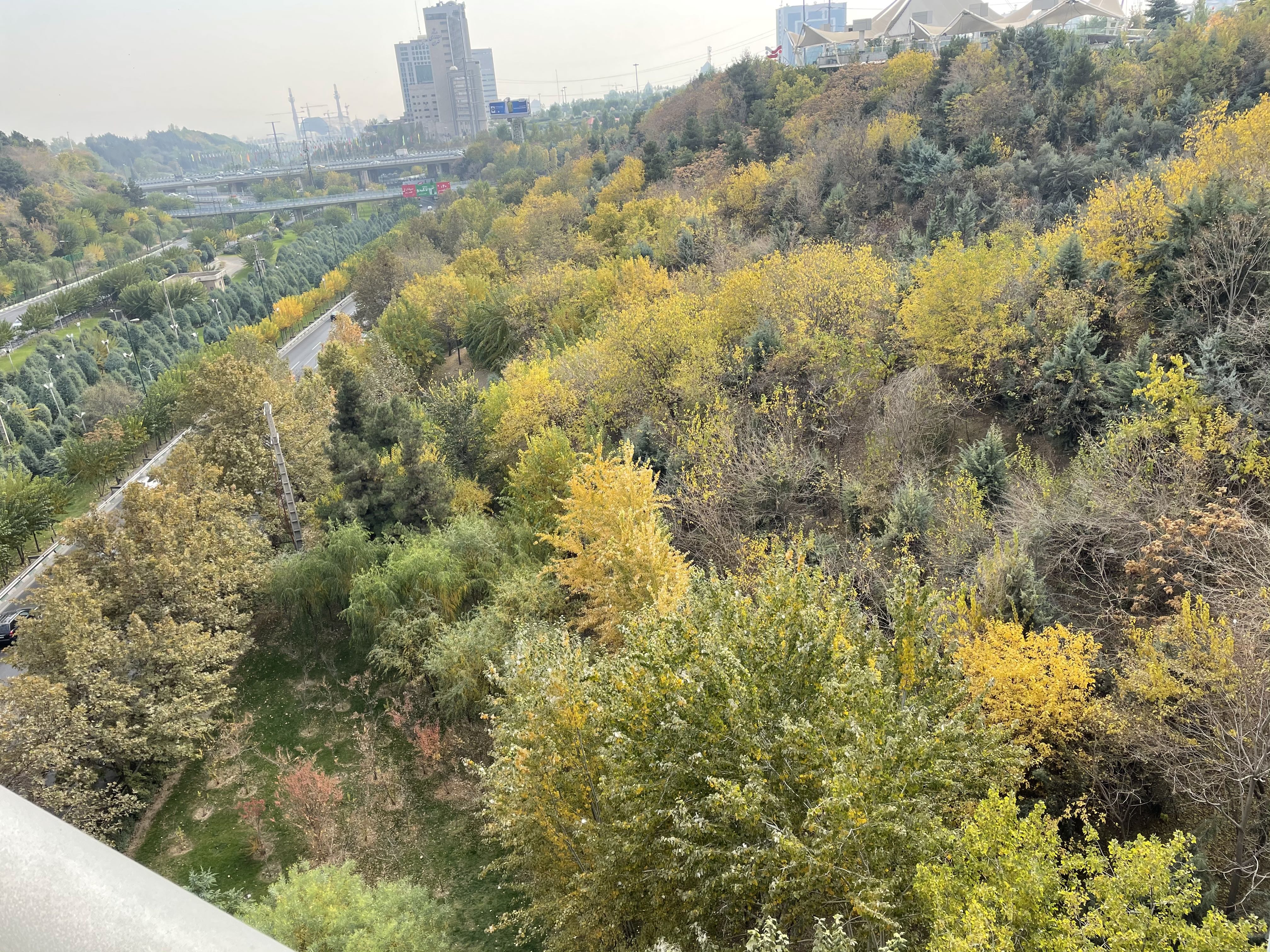 نمونه عکس دوربین واید آیفون ۱۲ پرو اپل در طول روز - شاخ و برگ درختان از روی پل طبیعت پارک آب و آتش تهران