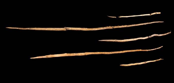نیزه های نئاندرتال ها / Neanderthal javelins