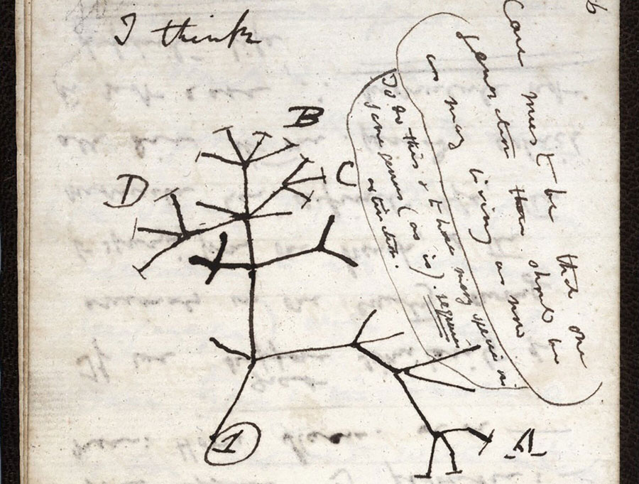 آک تک - ربوده شدن دستنوشتههای چارلز داروین از کتابخانه دانشگاه کمبریج