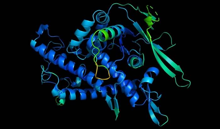 ساختار سه بعدی پروتئین / 3D structure of protein