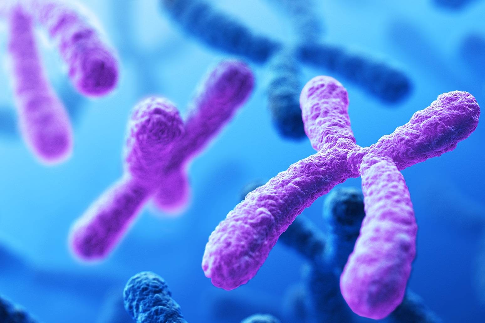 ویروس کرونا مواد ژنتیکی خود را وارد کروموزوم‌های انسان می‌کند