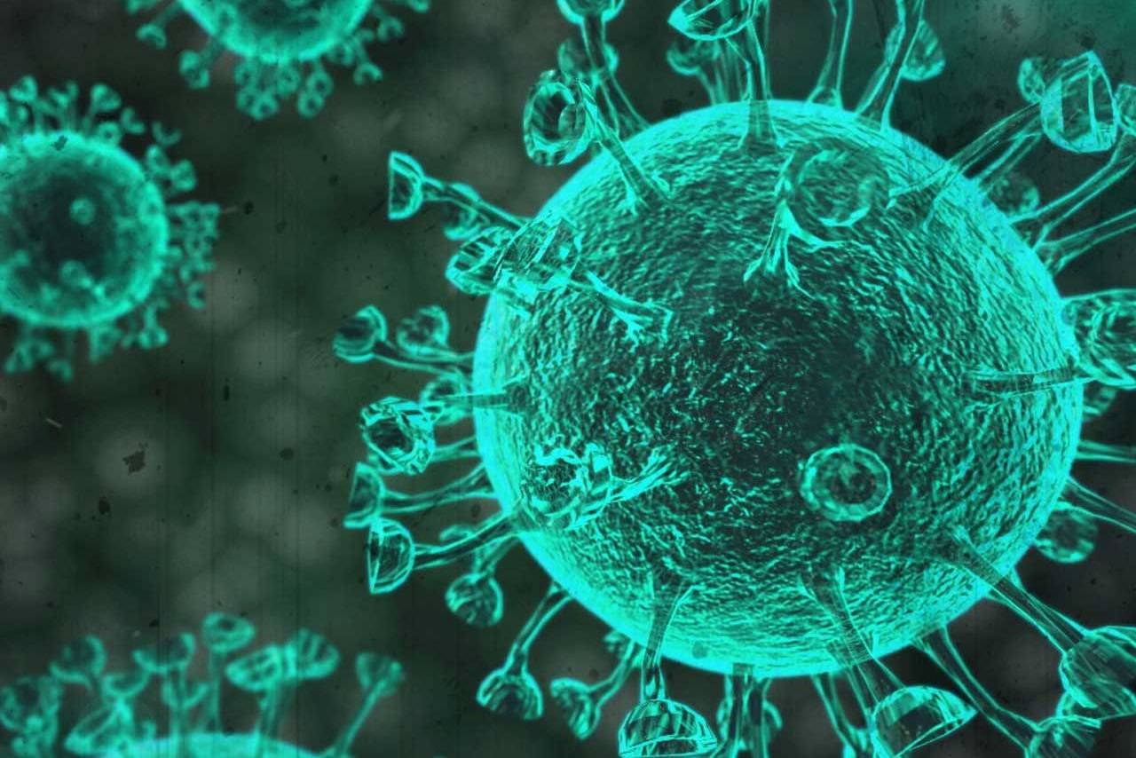 براساس پژوهش‌های اخیر، گونه جدید ویروس کرونا واقعا واگیردارتر است