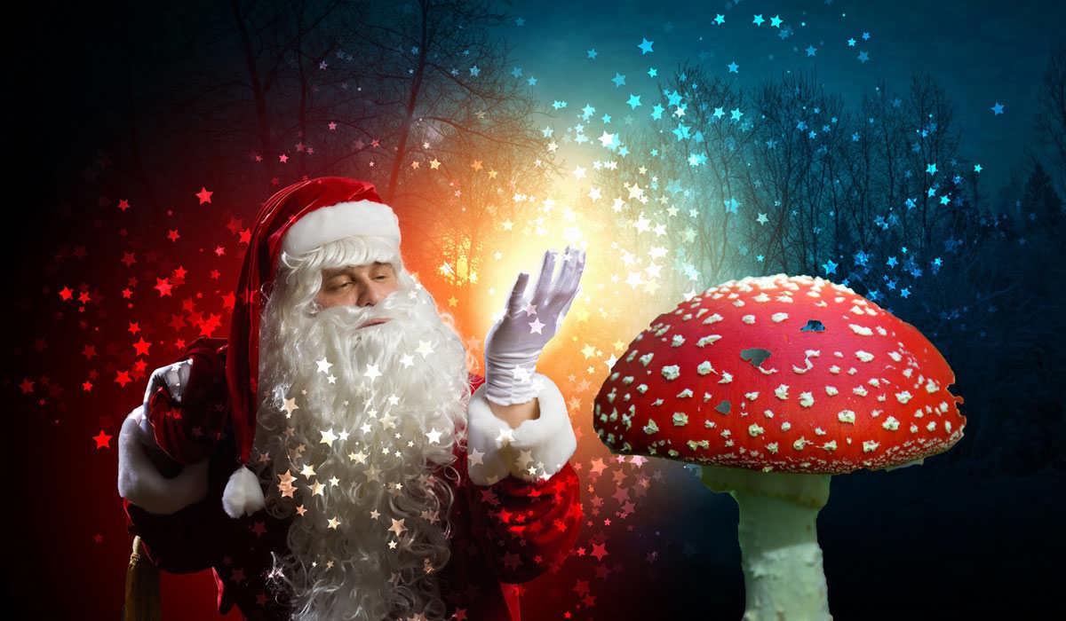 داستان بابا نوئل ممکن است از ملهم از شَمَن‌های سیبری و مصرف قارچ‌های جادویی باشد