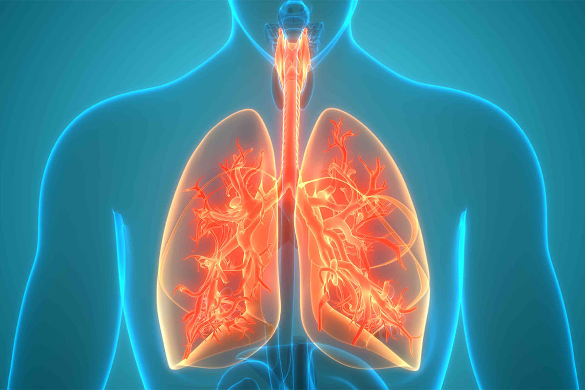 بررسی دقیق سیستم تنفسی و ریه‌ها؛ عملکرد، بیماری‌ها و درمان