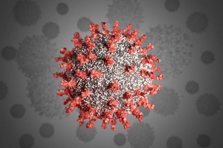دانشمندان: ویروس کرونا سلاح بیولوژیک نیست و منشأ طبیعی دارد